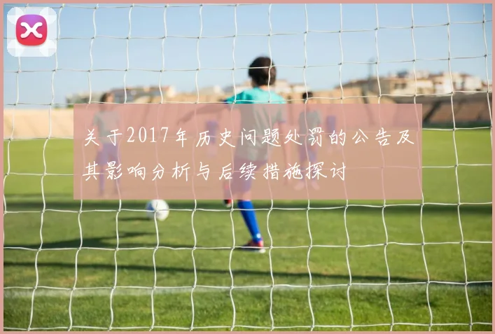 关于2017年历史问题处罚的公告及其影响分析与后续措施探讨